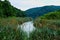 Reeds and Rushes Growing in Plitvice Lakes, Croatia