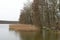 Reeds, rushes and small boats