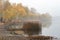 Reeds and trees close to the Dnieper river in Kiev, Ukraine. A soft autumn morning, mist over the cold and calm water.