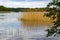 Reeds and wooded shores of Netta river mouth to Necko lake in Masuria lake district resort town of Augustow in Poland