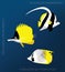 Reef Butterflyfish Set Cartoon Vector Illustration