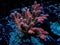 Reef coral underwater organism invertebrate animal fish aquarium flower jellyfish