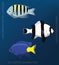 Reef Damselfish Set Cartoon Vector Illustration