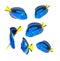 Reef fish, blue tang