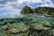 Reef Growing in Remote Lagoon