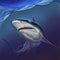 Reef shark on depth realistic background illustration.