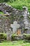 Reefert Church ruins, Glendalough, Ireland