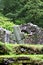 Reefert Church ruins, Glendalough, Ireland