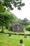 Reefert Church ruins, Glendalough, Ireland