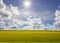 Reen grass and blue sky