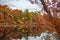 Refection of colorful trees on the Charles River in Autumn