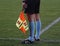 Referee assistant during a football game