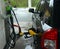 Refilling up gas tank of the car with  fuel on a filling station