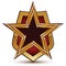 Refined vector golden star emblem placed on a shield, 3d pentagonal glossy design element, clear EPS 8.