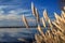 Reflecting Clouds Over California Lagoon