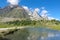 Reflection of an alpine landscape