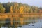 Reflection of autumn colors on water on a peaceful morning