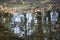 Reflection in the autumn puddle with fallen leaves