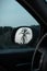 Reflection of a beautiful palm tree  in left side rearview mirror in the evening