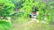 Reflection bridge on lake surface in park and bamboo branch over water