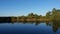 Reflection at the Cabin