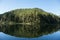 Reflection from the clear water of the pine forest