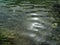 Reflection clear water of Plitvice lakes national park UNESCO, dramatic unusual scenic, green foliage alpine forest, biological