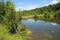 Reflection of clouds in a small pond and greenery around.