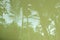 Reflection of coconut leaves on brown. Shadow of tree branches in dirty water. Leaves on a brown background