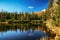 Reflection of coniferous trees on a surface of the water. Tarn Jamske pleso in High Tatras mountains in Slovakia