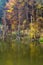 Reflection of dead tree in lake