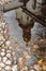 a reflection of the Duomo in a puddle on a cobblestone pavement, Tallinn, Europe