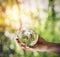 Reflection of a forest in glass ball held in hand