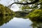 Reflection of the forest over the lake`s water at Plitvice lake