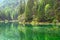 Reflection of the forest in the water,The Green Lake in Styria