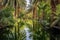 reflection of green palm trees in a calm oasis pond