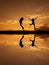 Reflection of Happy of two women jumping and sunset silhouette