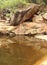 Reflection of hill rocks and trees