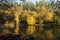 Reflection on an Hungarian lake with clear sky.