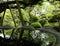 Reflection in Japanese temple