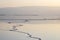 Reflection of the Jordanian mountains in the water of the Dead Sea with salt formations at dawn