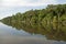 Reflection of jungle in waterway