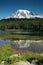 Reflection lake at Mount Rainier, Washington State