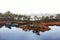 Reflection of lake in swamp