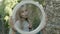 Reflection of laughing girl in small round mirror