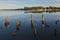 Reflection Macquarie Bay