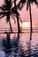 Reflection of palm trees in a blue swimming pool at sunset