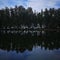 Reflection of pine tree in a lake, seven beach, tumpat kelantan.