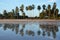 Reflection, Playa El Espino, El Salvador