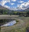 Reflection On Pond in A High Mountain Meadow Near Flagstaff